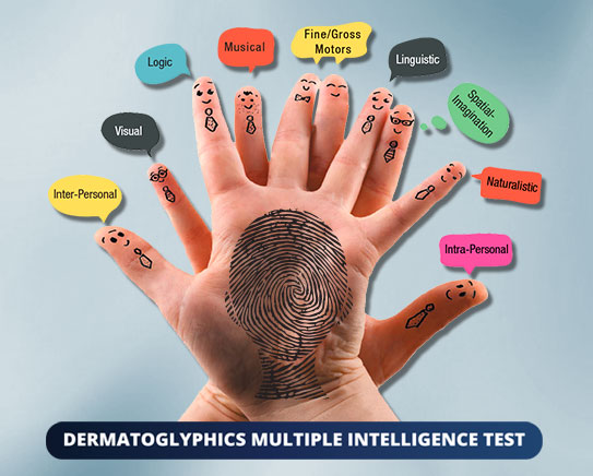 The Multiple Intelligence Test